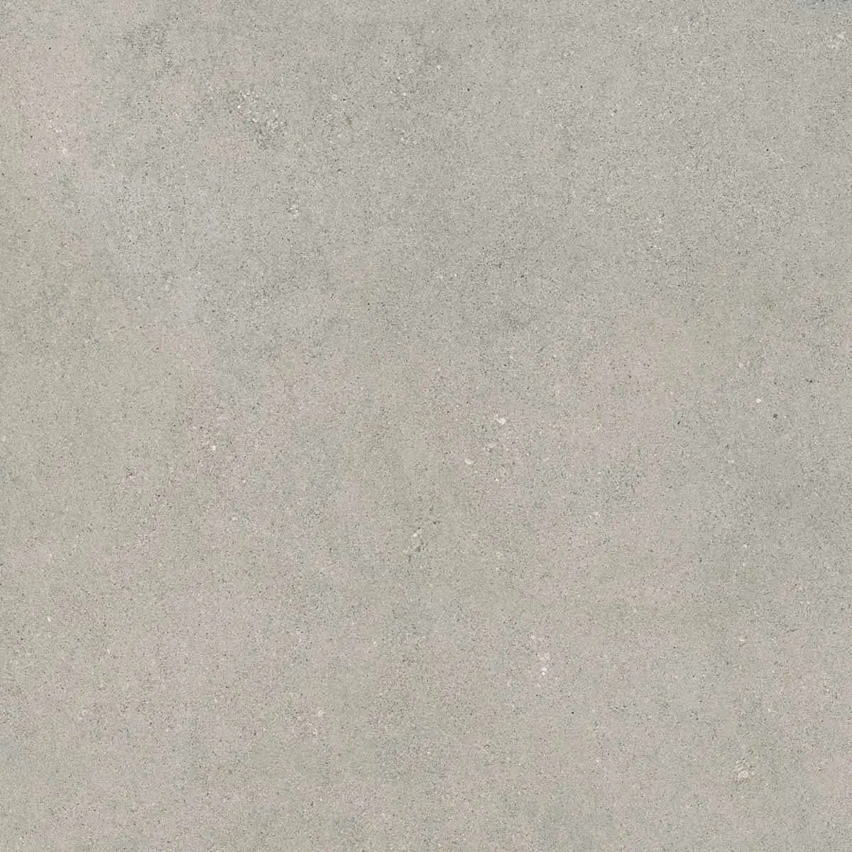 Gresie_portelanata_GRACE_GREY_60X60_SPAZZOLATO_R10_01