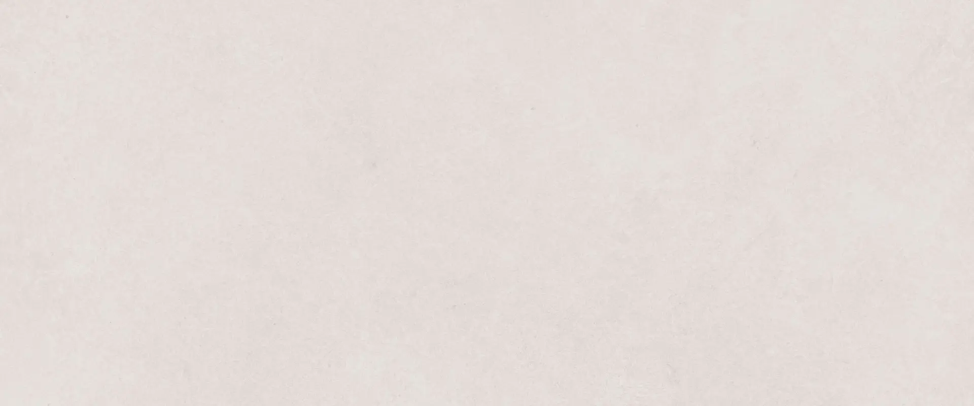 Faianta-INX PLUME RIV 50×120