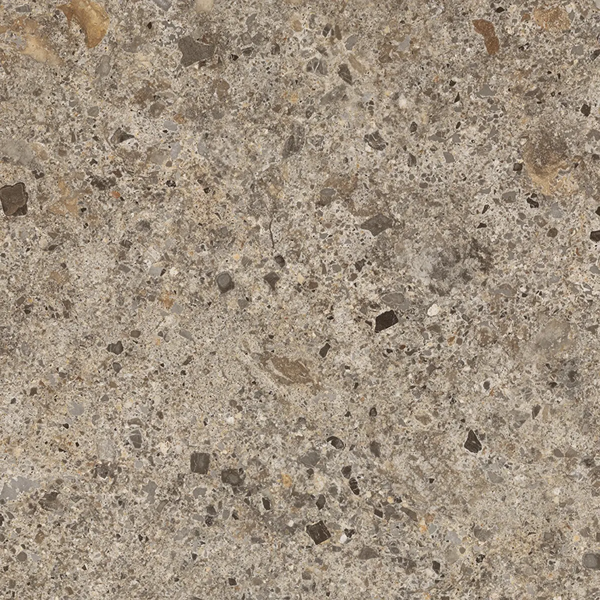 Gresie_portelanata-fap_materiaeclettica_tortora_60x60