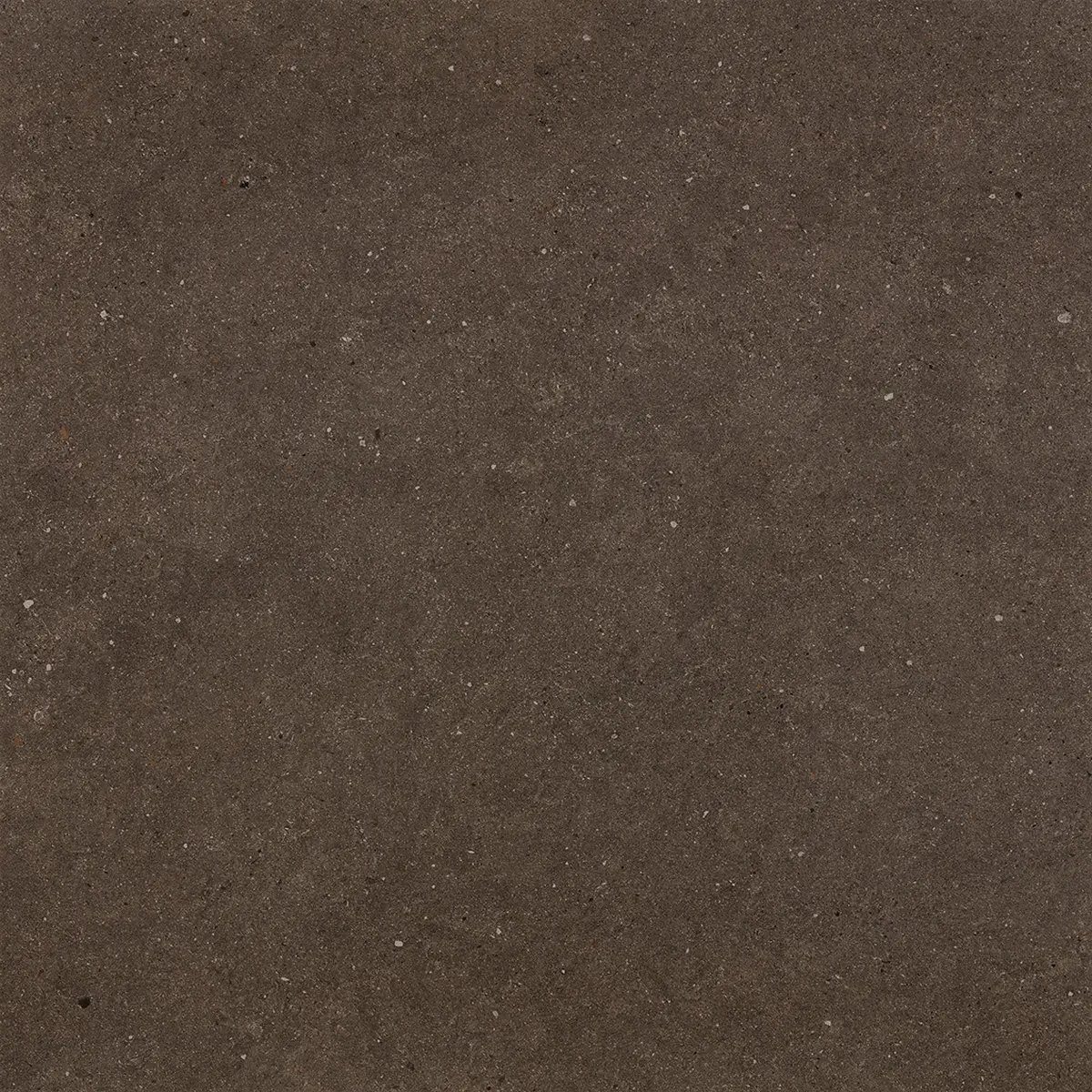 Gresie_portelanata_fap_materiapura_terra_80x80