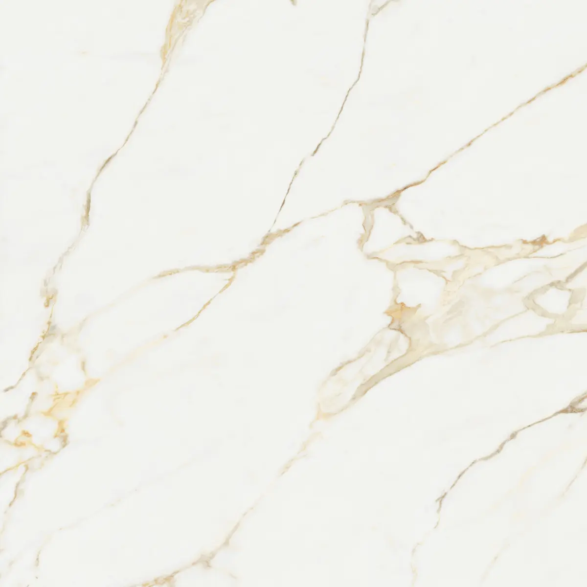 ATL_CALACATTA GOLD_120X120_2