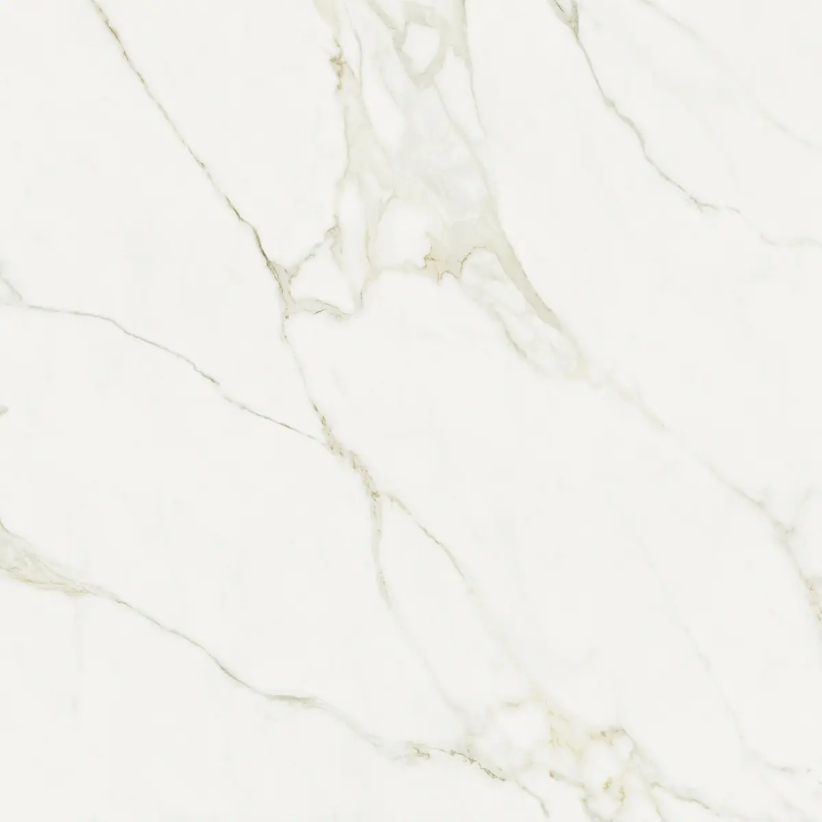 ATL_CALACATTA GREY 120X120_3