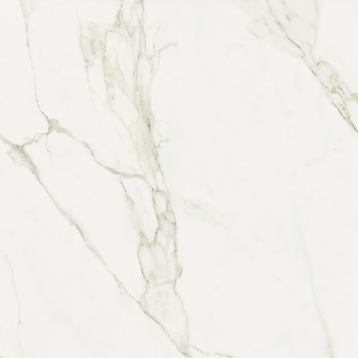 ATL_CALACATTA GREY 120X120_4