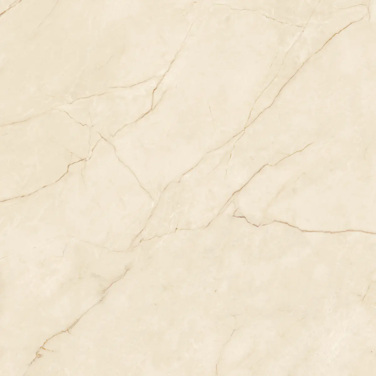 ATL_COZY MARFIL_120X120_2