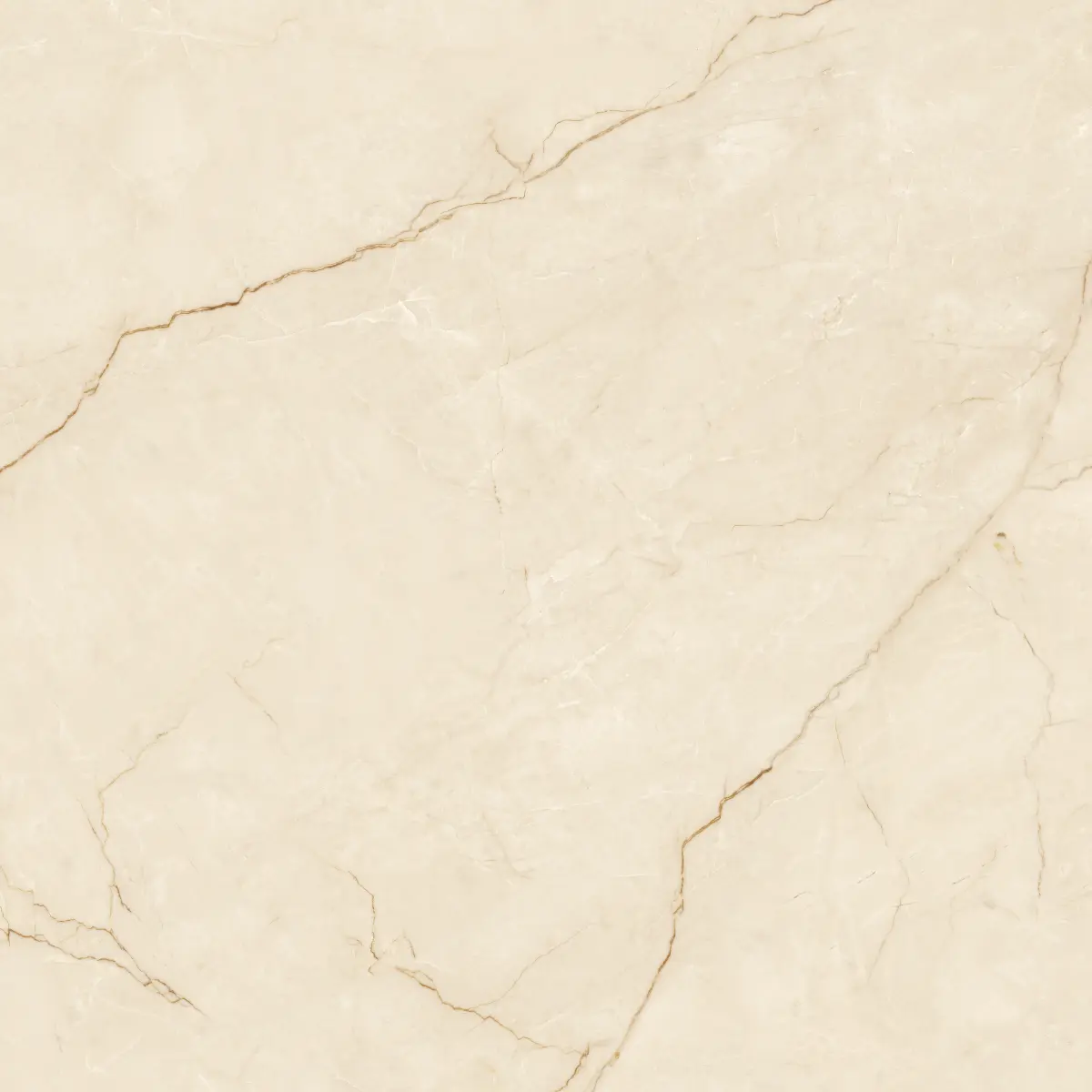 ATL_COZY MARFIL_120X120_4