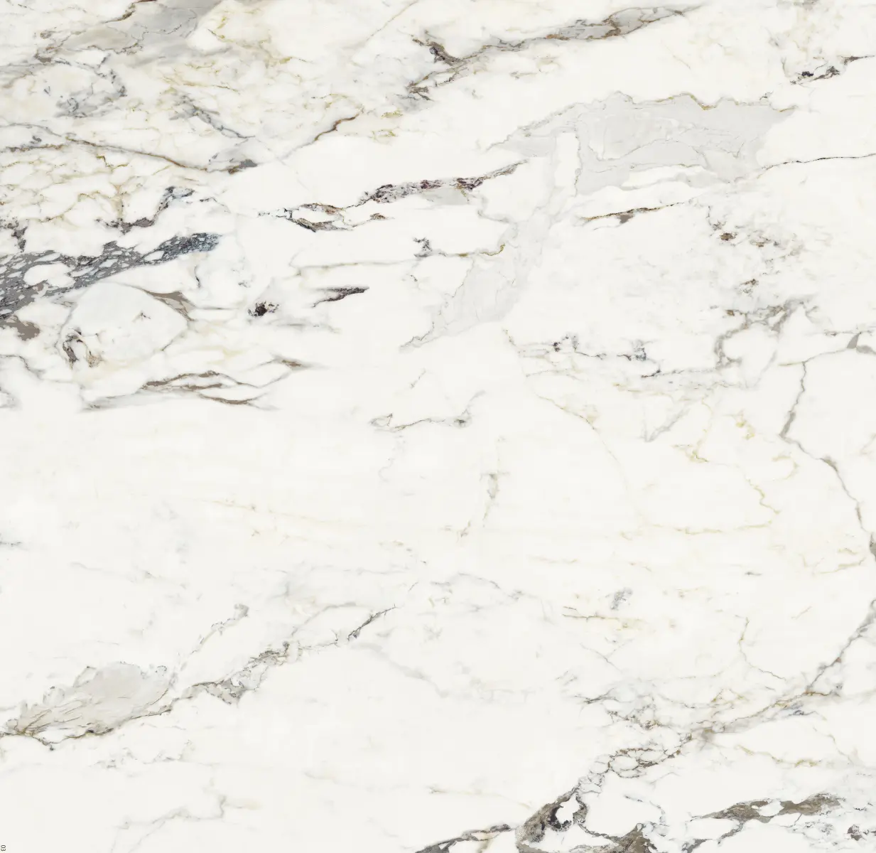 ATL_SUPREME CAPRAIA_120X120_3