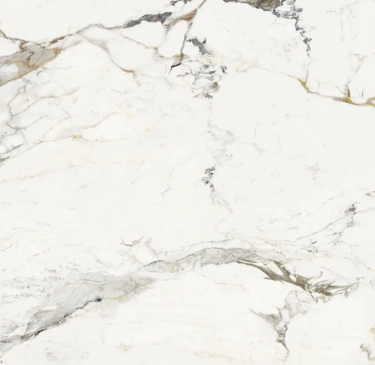 ATL_SUPREME CAPRAIA_120X120_4