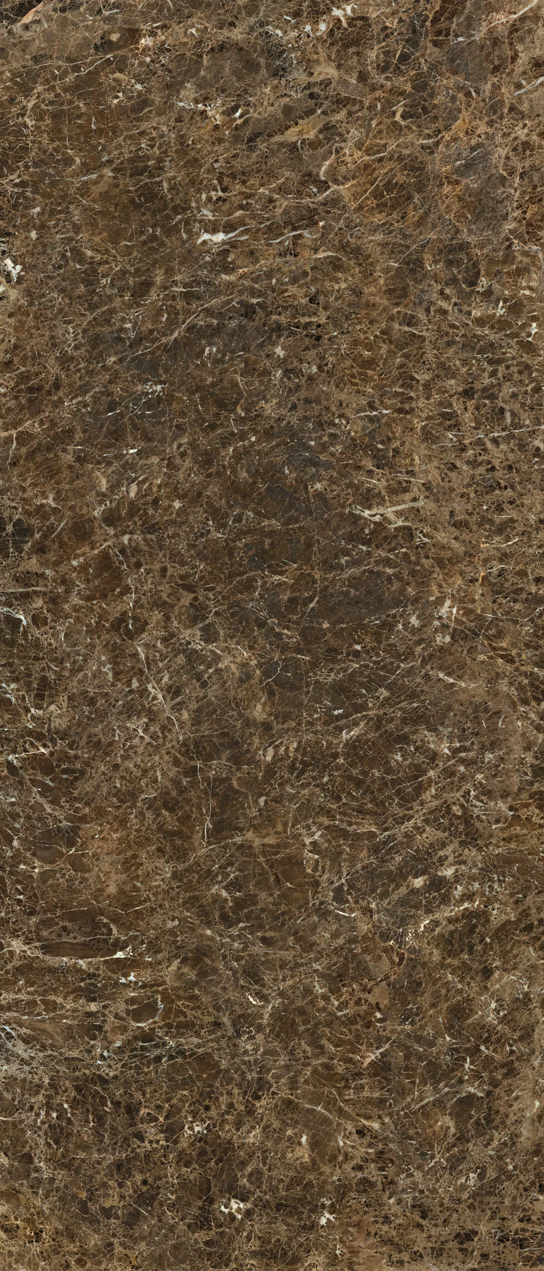 EMPERADOR-120x280_0000_Livello-5_1