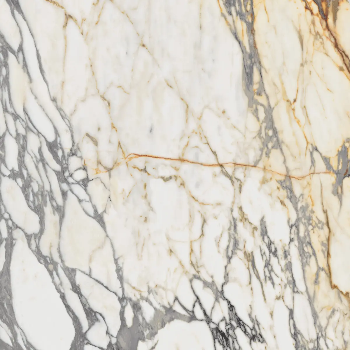 21319-861-EPOQUE-21-ARABESCATO-60X6003
