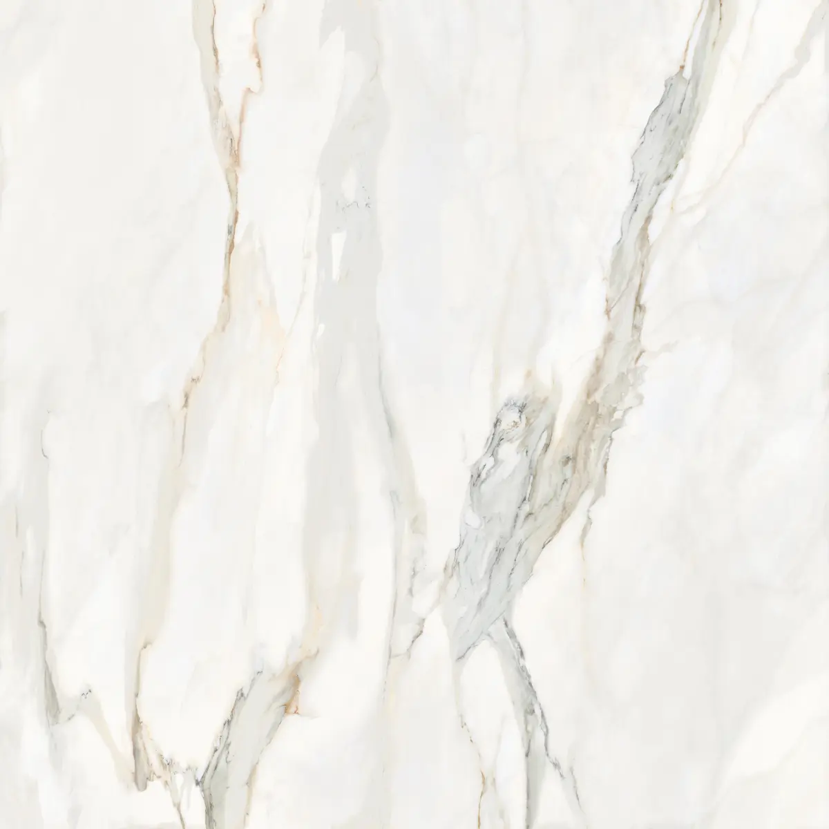 511-356-MARMOTECACALACATTA-ELEGANCE120X1202
