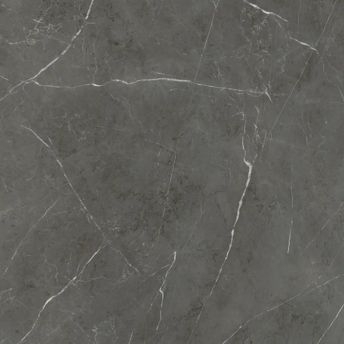 581-932-MARMOTECAGREY-STONE120x1202