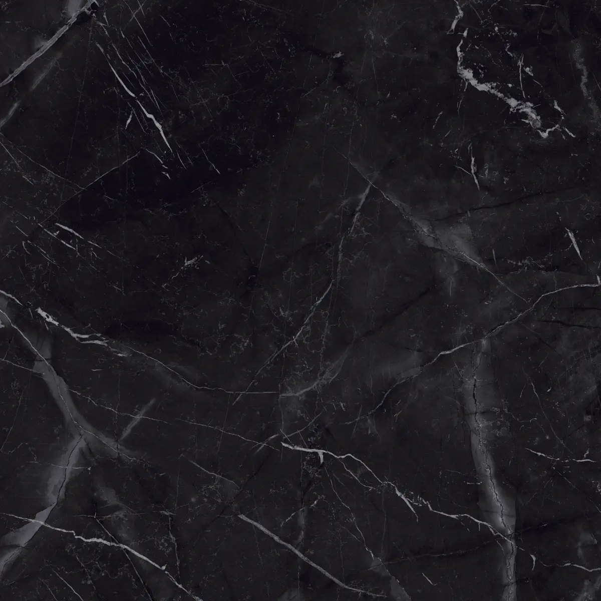 589-475-MARMOTECAMARQUINIA120X1202