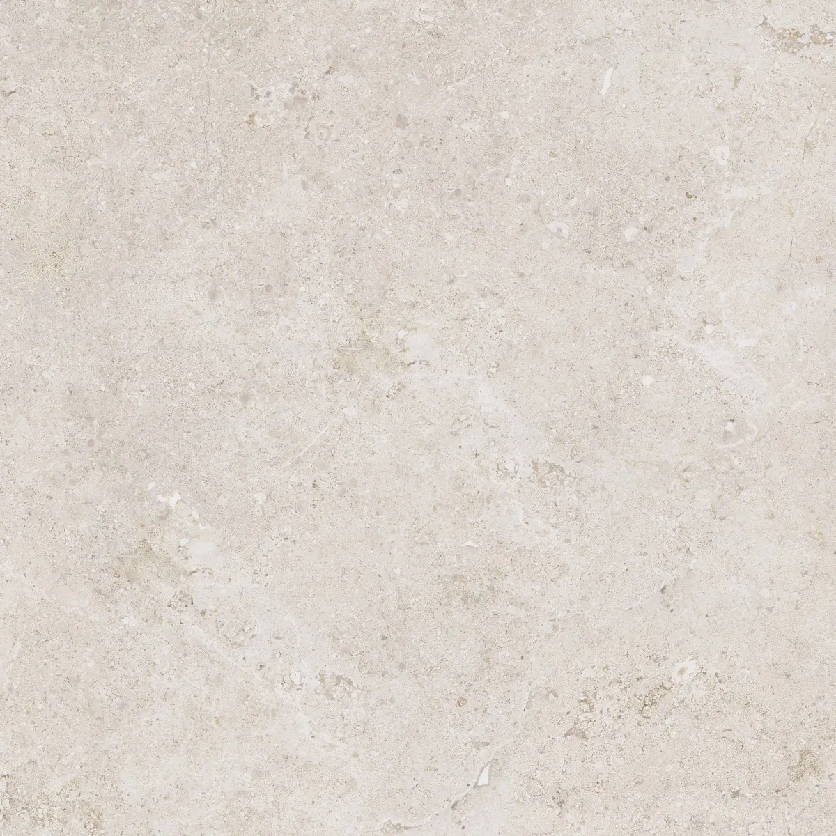 7959-26-orosei-bone1-80×80