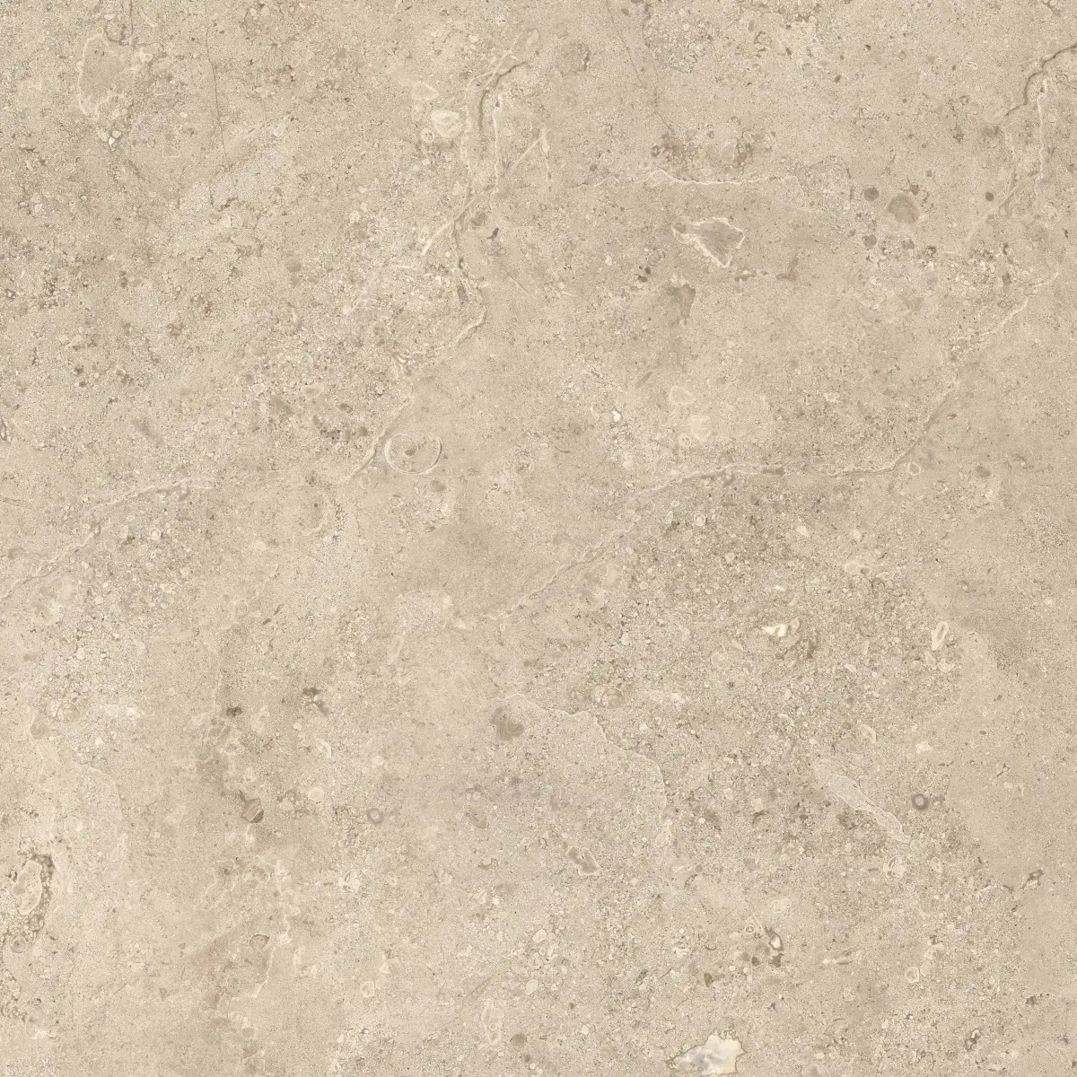 7979-639-orosei-cream3-80×80